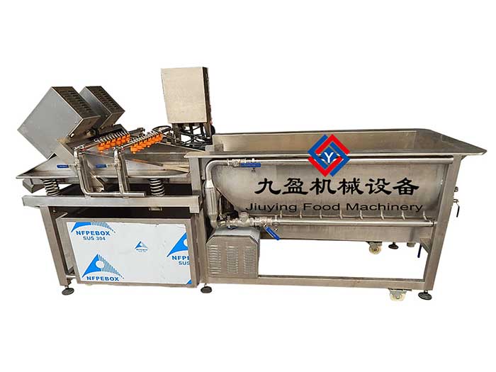 渦流式清洗+震動瀝幹機（jī）JYW-3000