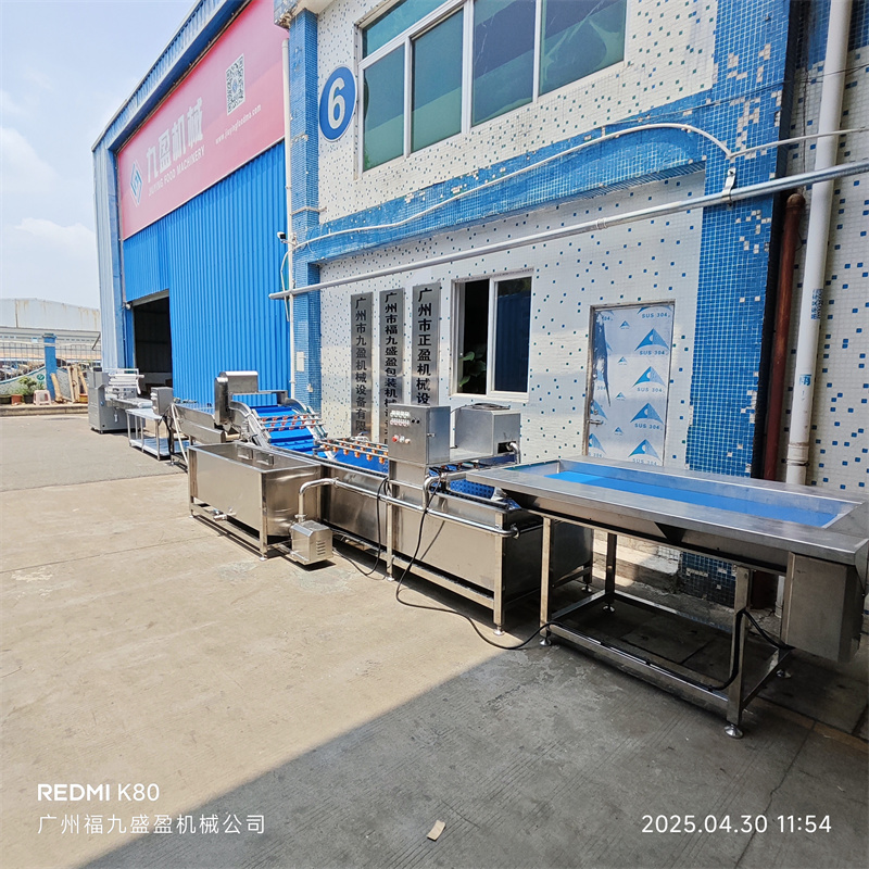 水果清洗（xǐ）包裝生產（chǎn）線正式發貨